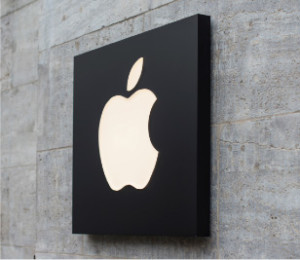 OSX Servers and File Sharing Help